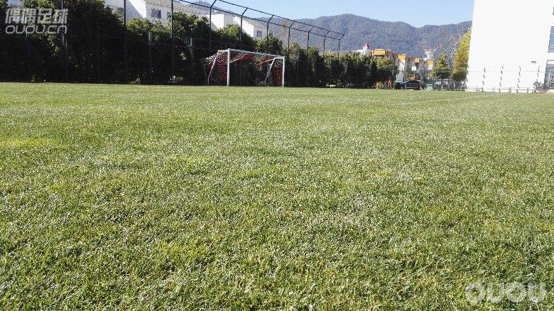 跟疯“熔岩”刺客