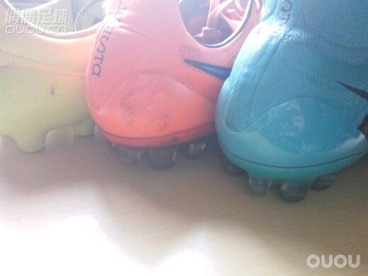 这大过年的,来拜年喽?这个角度不错~