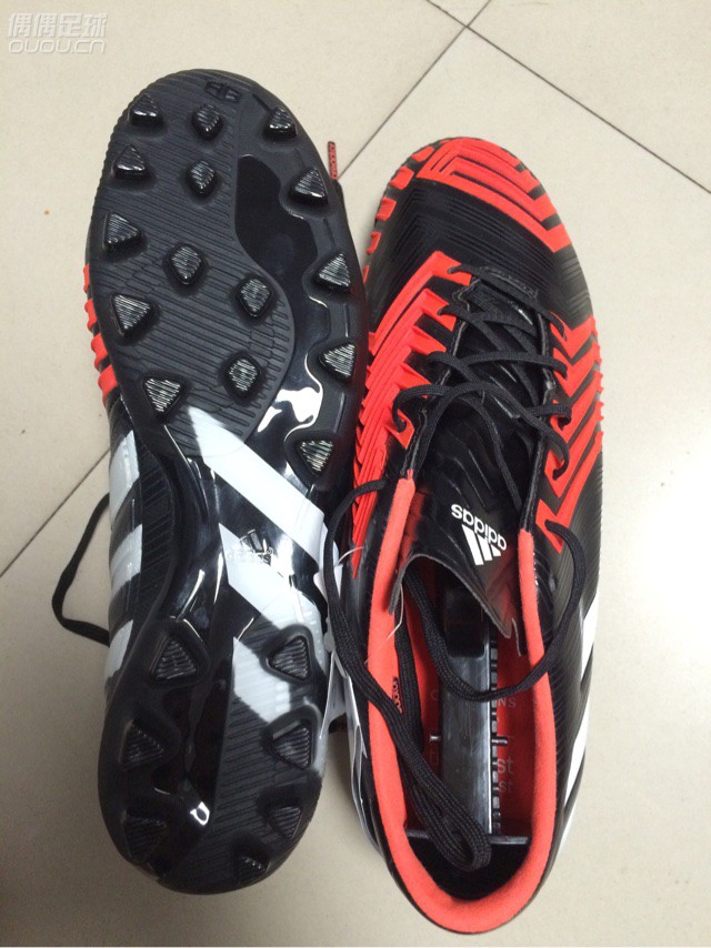 都说这是最后的猎鹰 忍不住2016第一剁 含泪问一句 正么