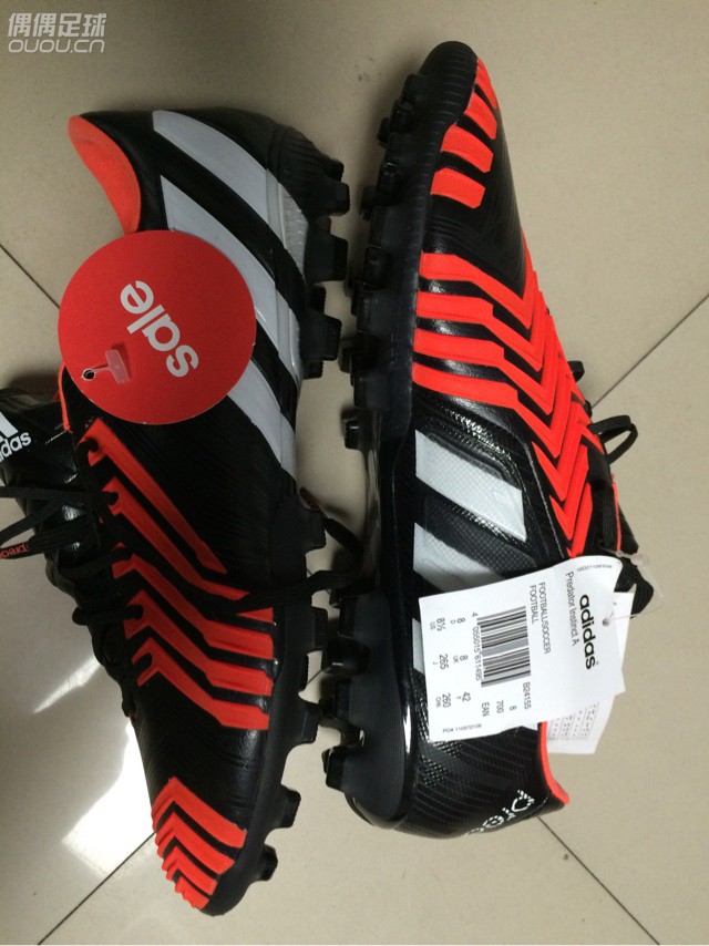 都说这是最后的猎鹰 忍不住2016第一剁 含泪问一句 正么