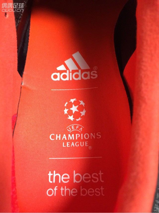 都说这是最后的猎鹰 忍不住2016第一剁 含泪问一句 正么