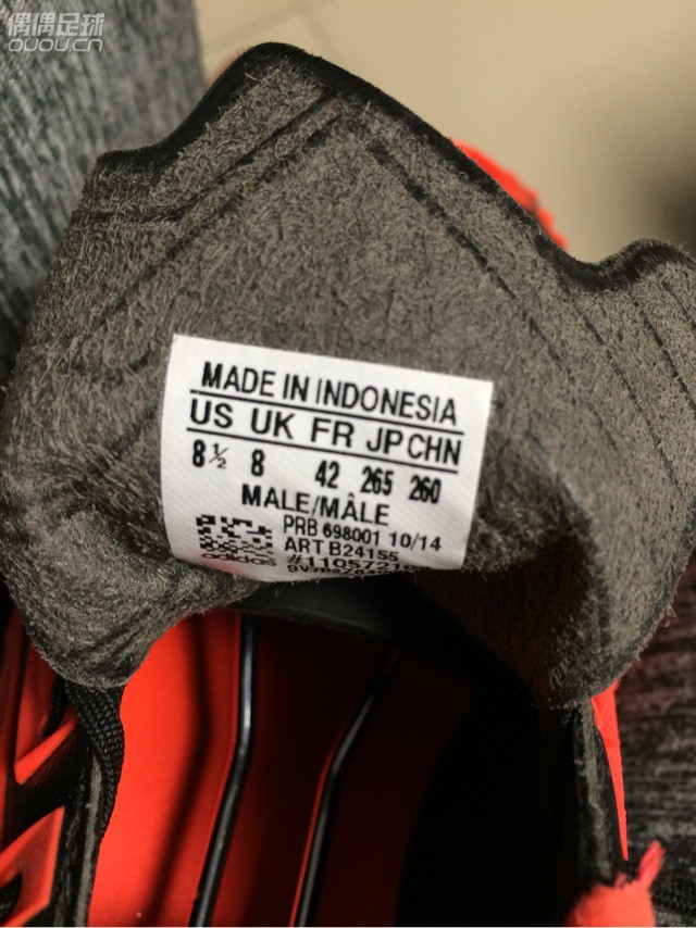 都说这是最后的猎鹰 忍不住2016第一剁 含泪问一句 正么