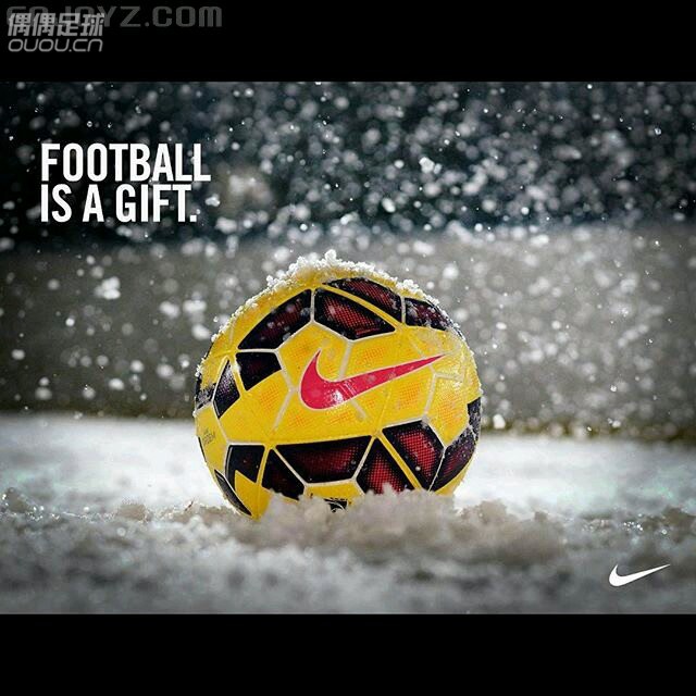 足球狗的高三生活(Football is a Gift)