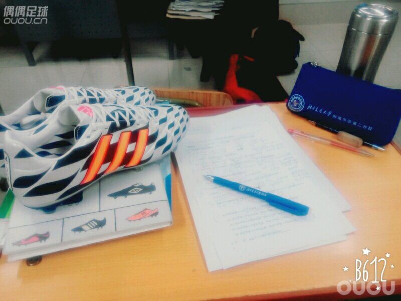 足球狗的高三生活(Football is a Gift)