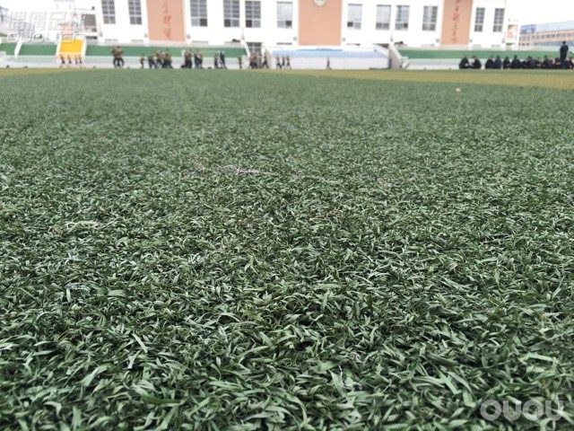 我要踢11人制的大场比赛,但是学校人草条件不好,人草都是伏倒的,地比较硬,穿ag插不进去