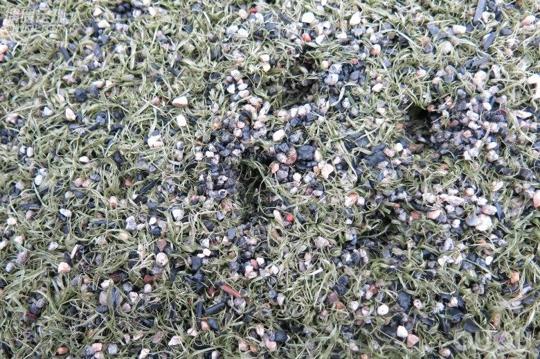 【偶偶第二十次草根接力实战评测】第三棒: 传奇6,That is what I want!