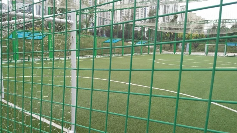 【偶偶第二十次草根接力实战评测】第四棒:不完全评测Tiempo Legend VI !