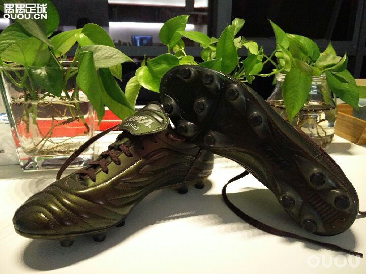 十年之前,脚踏变色龙叱诧球场!十年之后,有幸再遇变色龙!可惜无法找回当年的身体!