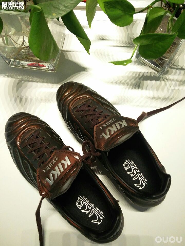 十年之前,脚踏变色龙叱诧球场!十年之后,有幸再遇变色龙!可惜无法找回当年的身体!