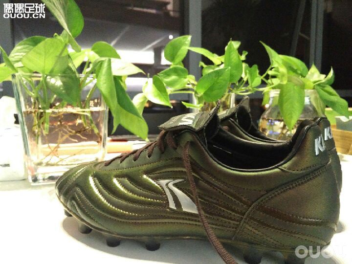 十年之前,脚踏变色龙叱诧球场!十年之后,有幸再遇变色龙!可惜无法找回当年的身体!