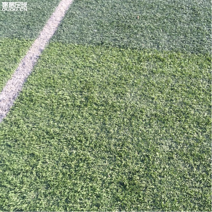 求大神给看看场地适合啥钉