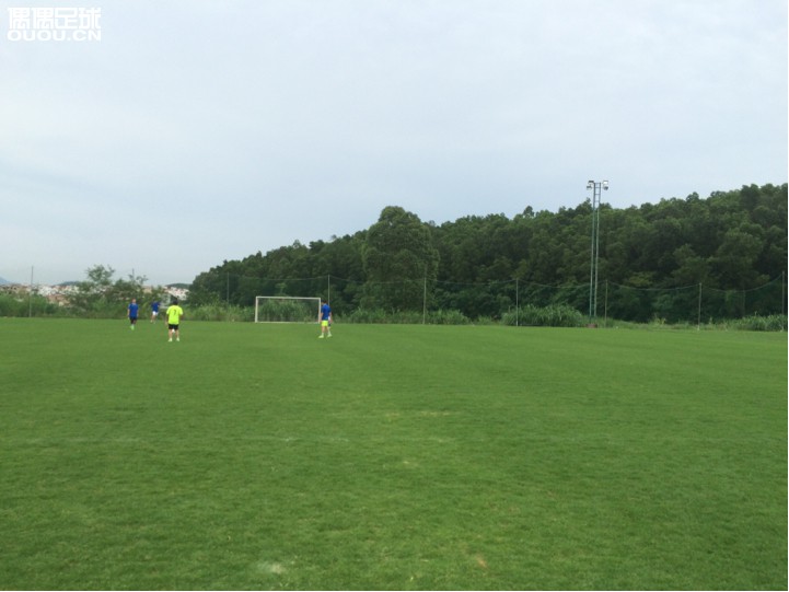 久违的天然草→_→,