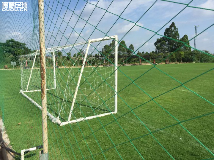 久违的天然草→_→,