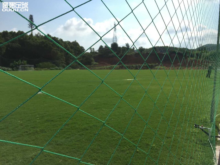 久违的天然草→_→,