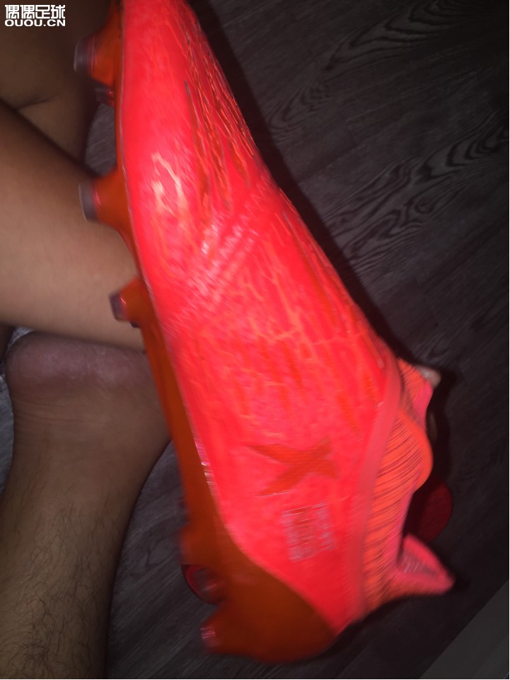 论坛上收的X16.1超顶厂货,无鞋标