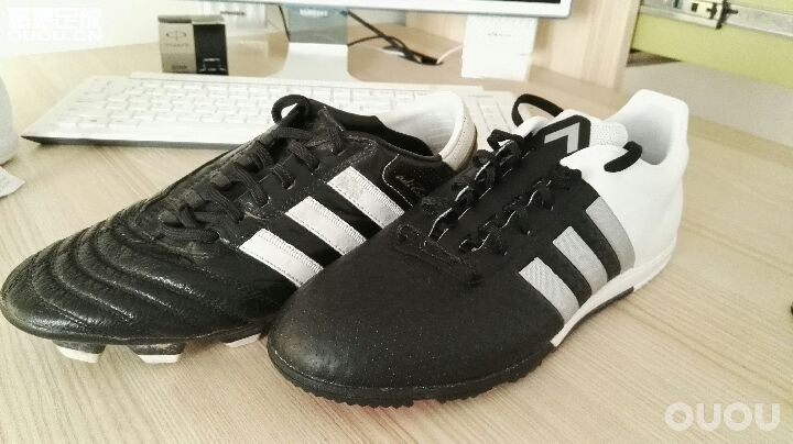 新成员两位最新一双与最初一双,是不是神似?