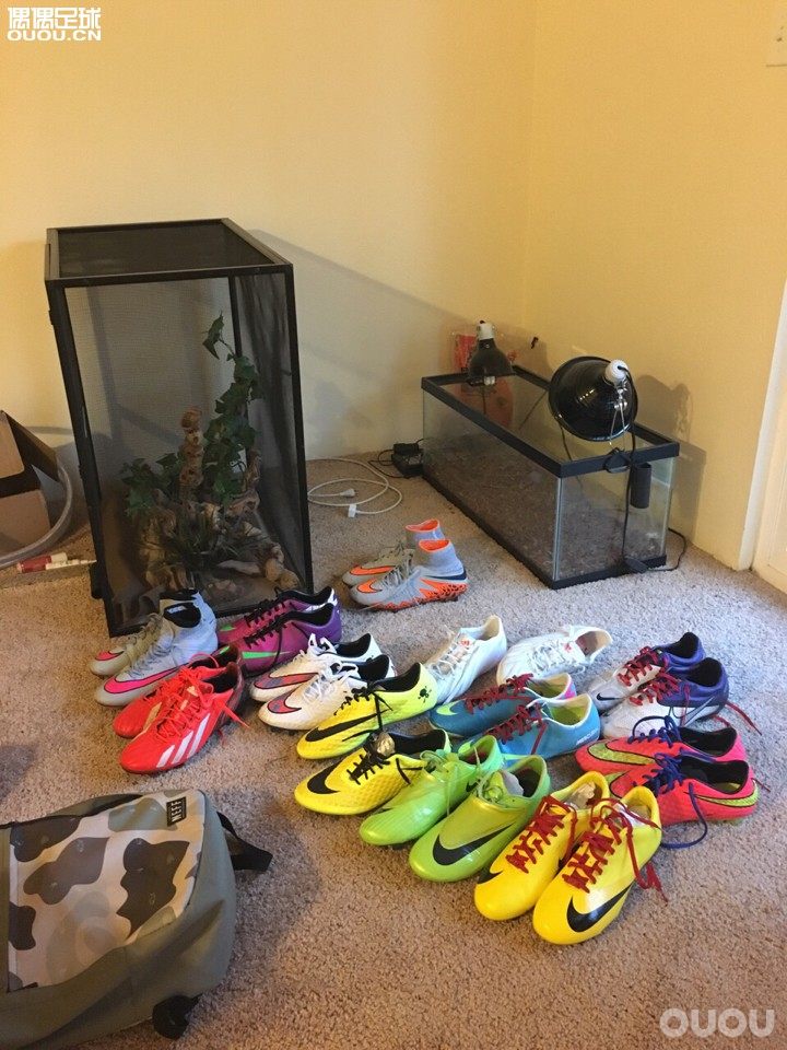 鞋有点多 老鞋为主 美帝留学狗一只