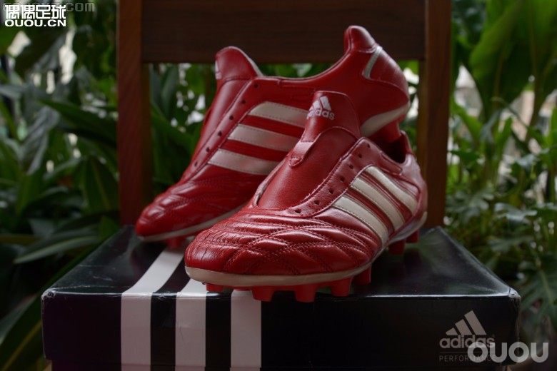 求鉴定 日产 次顶 红释迦