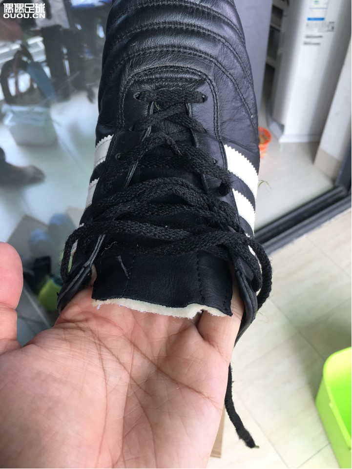 请帮忙鉴定真伪!