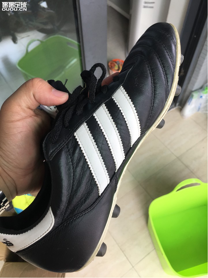 请帮忙鉴定真伪!