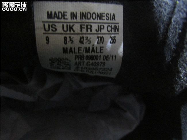 求高手鉴定猎鹰11代,谢谢了