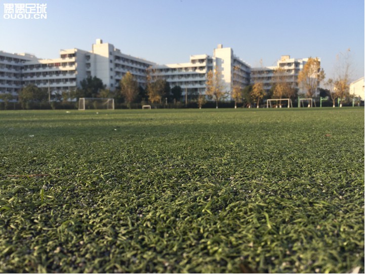 大学里是人工草,说质量好也不好差也不差,没有地毯草这么硬这么滑但是草也比较短,颗粒较多