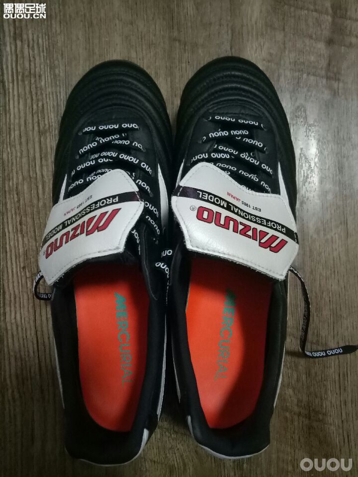 最后一张全家福,出坑了。