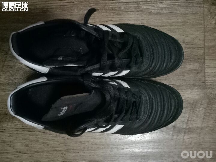 最后一张全家福,出坑了。