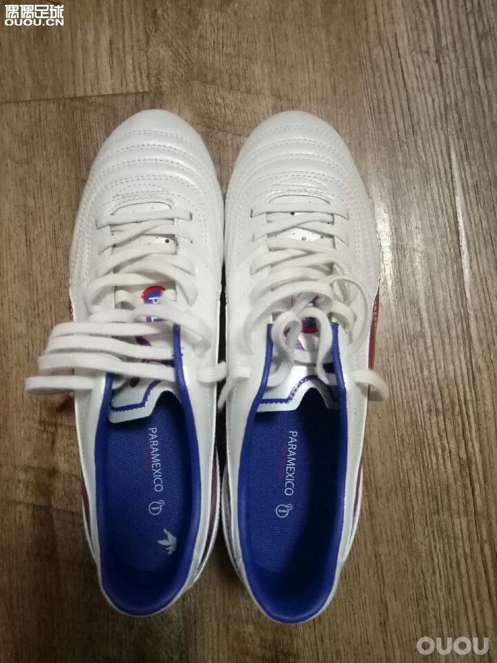 最后一张全家福,出坑了。