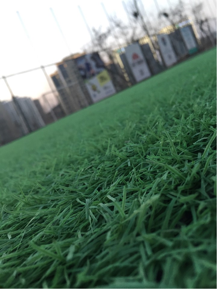 刺客袋鼠皮下水试鞋!入了也有一阵子,一直考虑到场地草不够长没敢在实战中上脚。