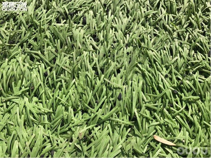 这里的人草算中等的吗?顺便问下有没有佛山的朋友?