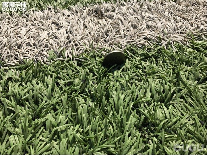 这里的人草算中等的吗?顺便问下有没有佛山的朋友?