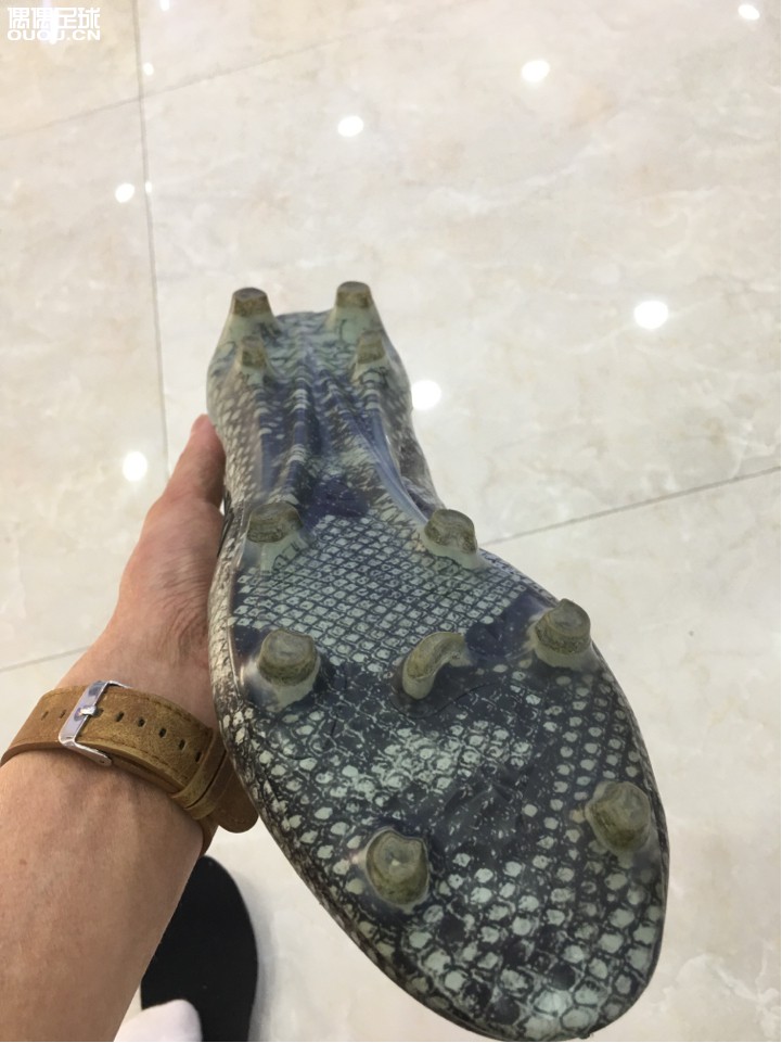 求鉴定…蛇纹X16+