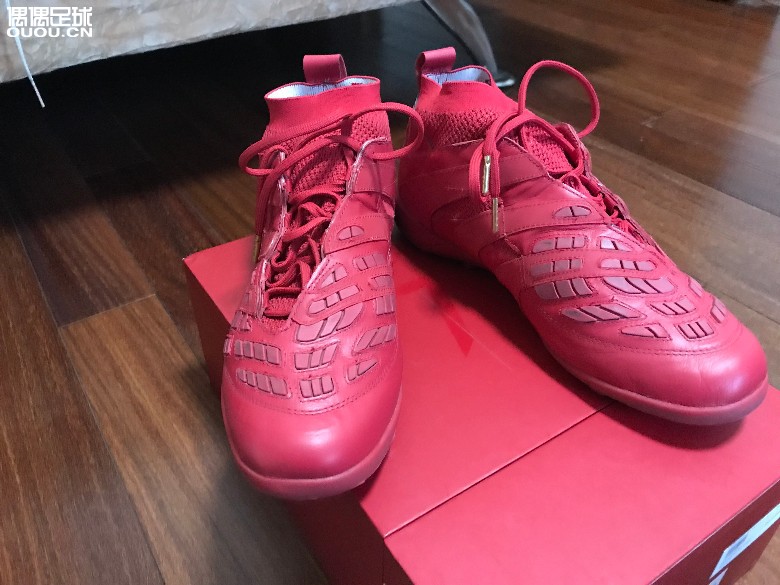 这是一双属于贝克汉姆的猎鹰