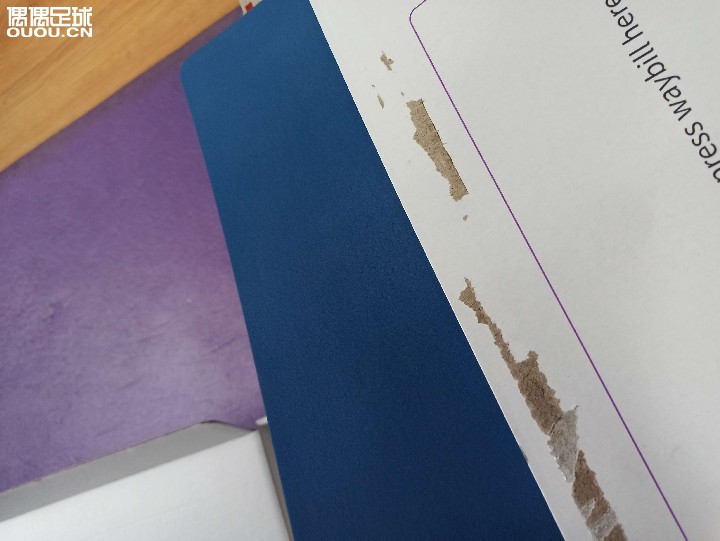 双十一买的偶能到货,里面竟然有个神秘文件袋!