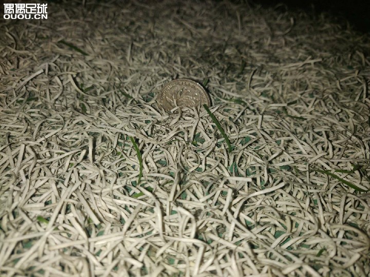 请问这样的场地穿阿迪新ag大底 需要磨钉吗?