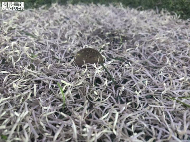 请问这样的场地穿阿迪新ag大底 需要磨钉吗?