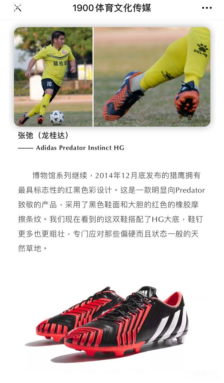 2019年度最后一期草根面面观部分内容,感谢偶偶。