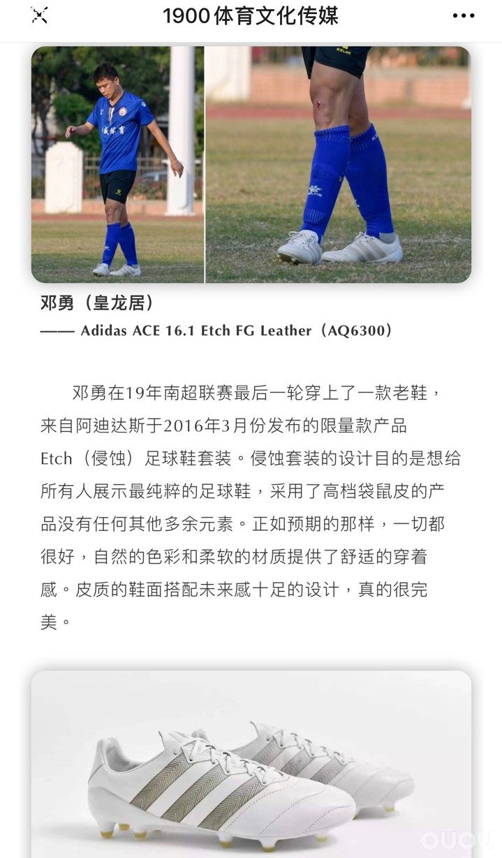 2019年度最后一期草根面面观部分内容,感谢偶偶。