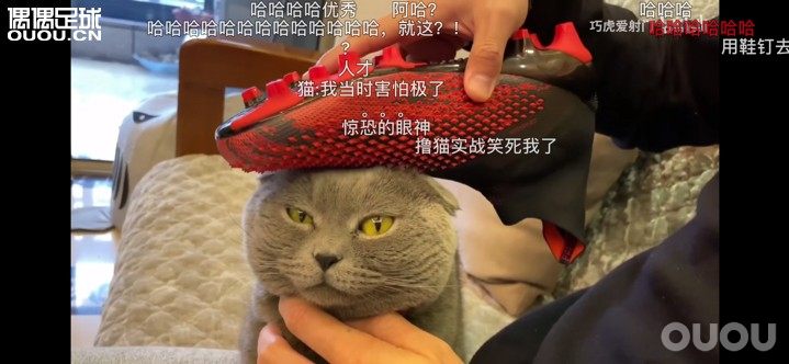 猎鹰20?入手评测视频。